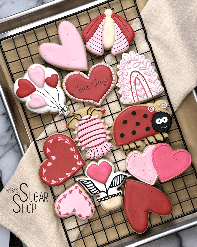 Love Bugs Valentine's (1 dozen)