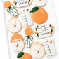 a little cutie on the way, orange rattle, bib, swaddled baby, romper, baby shower cookies