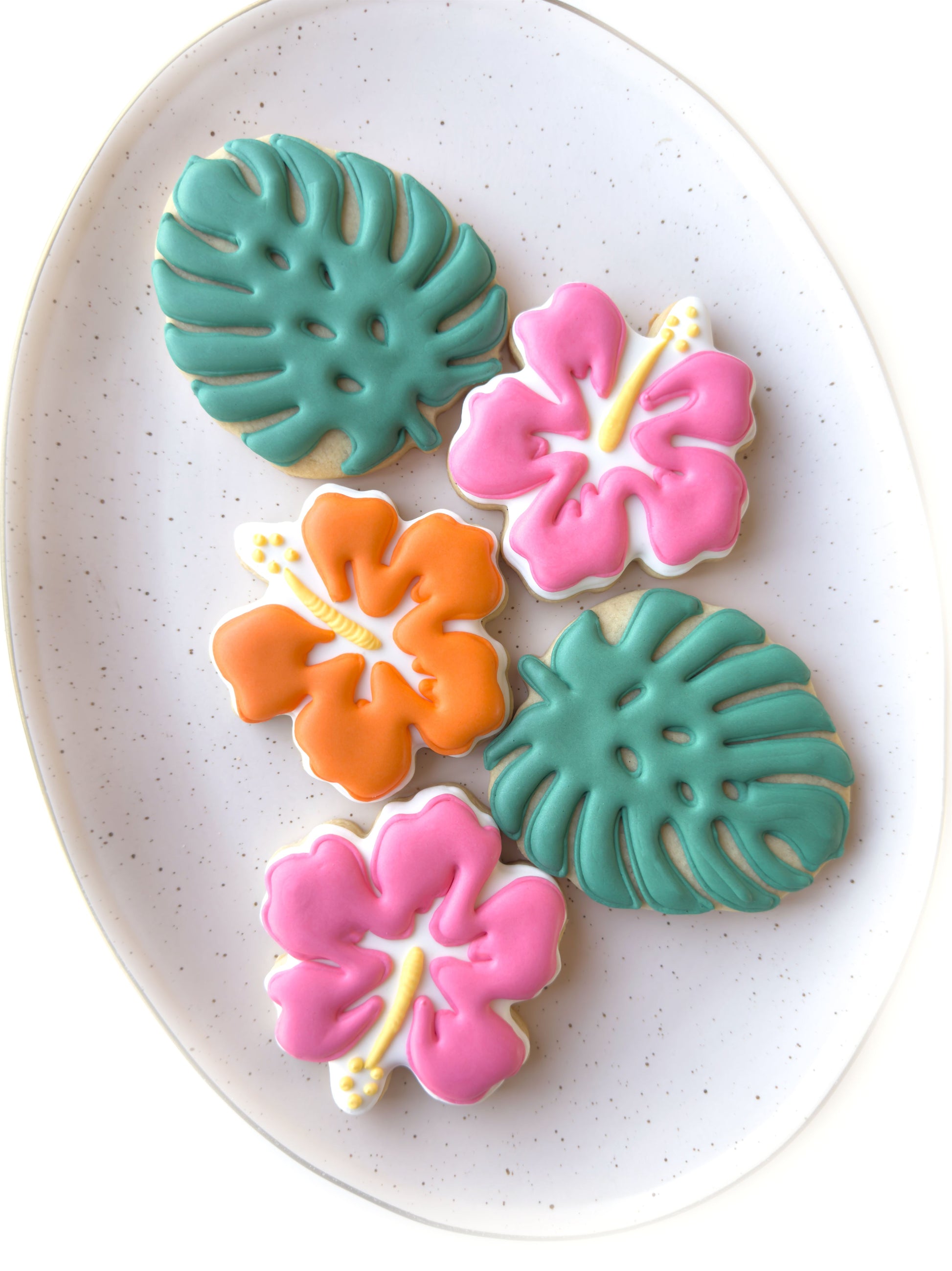 starfish, conch shell, sand dollar, happy birthday cookies, tropical vacation birthday cookies, polaroid tropical vacation photo, swimsuit cookies