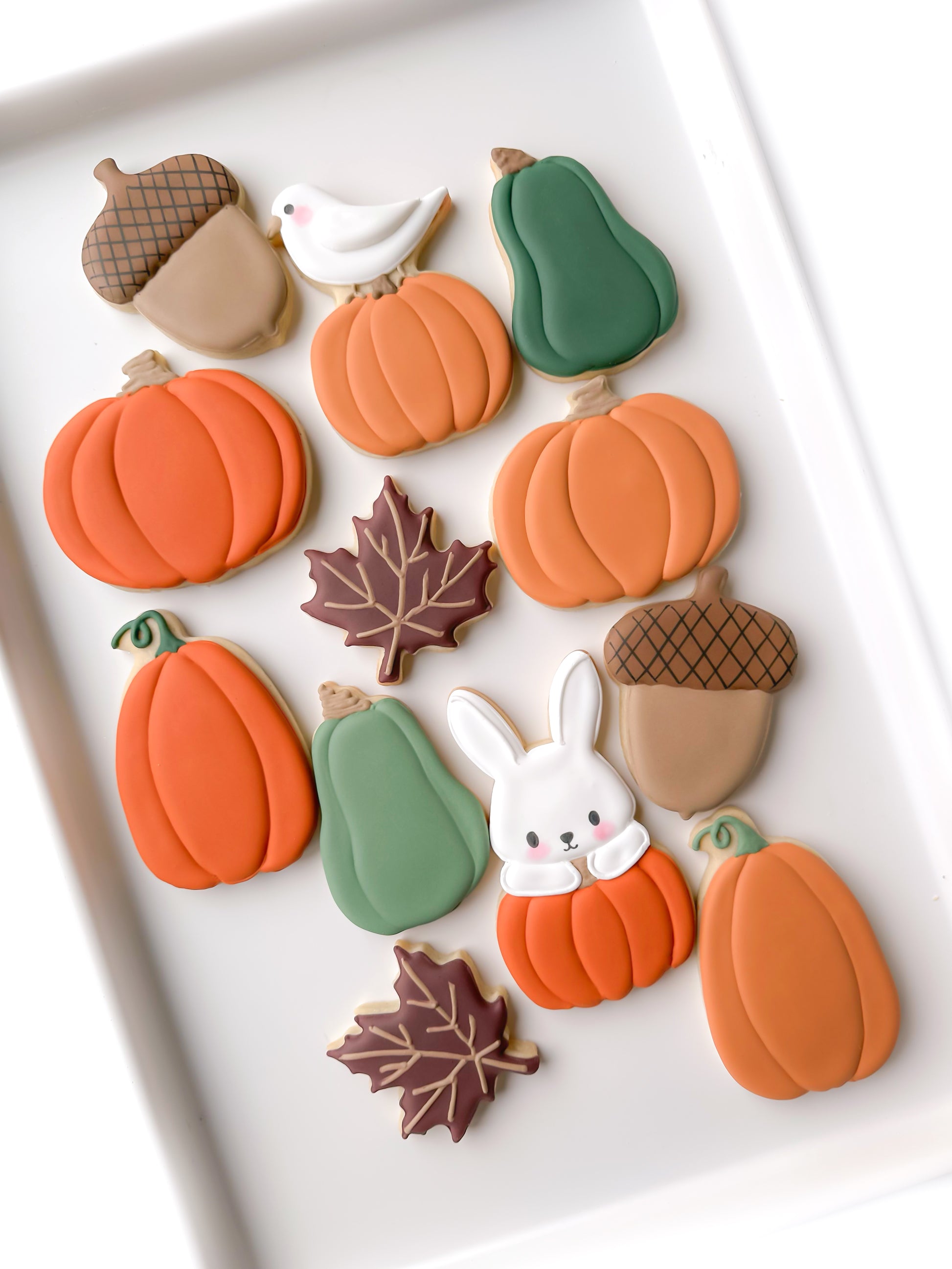 pumpkin patch  bird and bunny decorated cookies