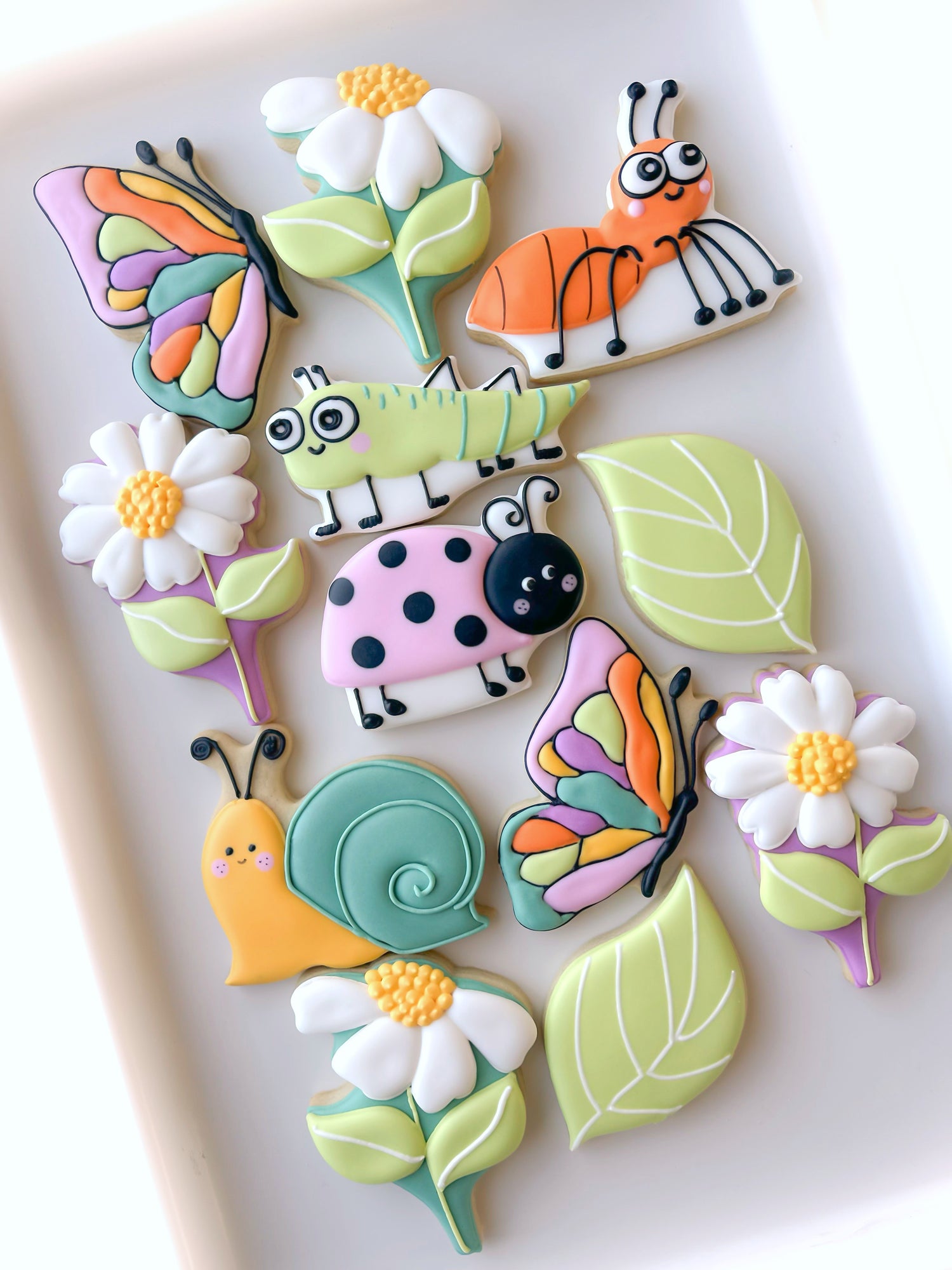 bug insect garden cute love bug decorated birthday cookies for garden party