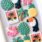 starfish, conch shell, sand dollar, happy birthday cookies, tropical vacation birthday cookies, polaroid tropical vacation photo, swimsuit cookies